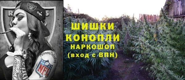 тгк Коряжма