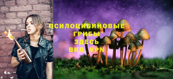 ECSTASY Кодинск