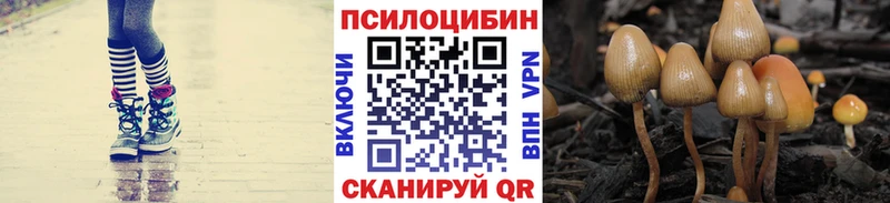 Галлюциногенные грибы прущие грибы купить закладку Тейково