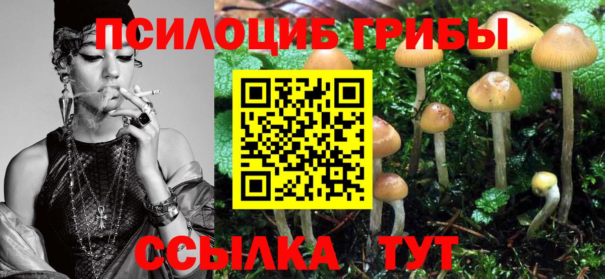 Псилоцибиновые грибы мухоморы Тейково