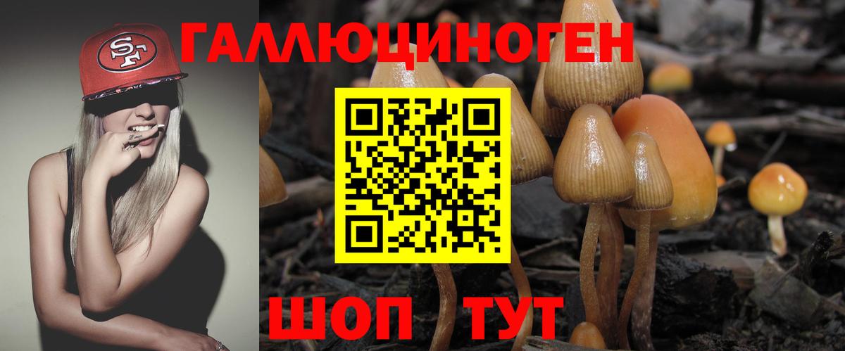 Тейково  Галлюциногенные грибы мицелий  Вход с VPN  Галлюциногенные грибы ЛСД 